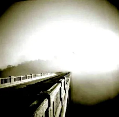 holga