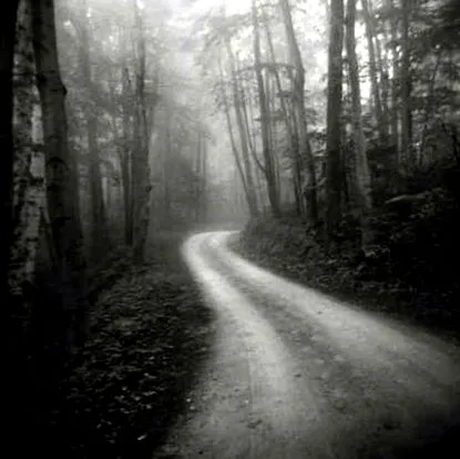 holga