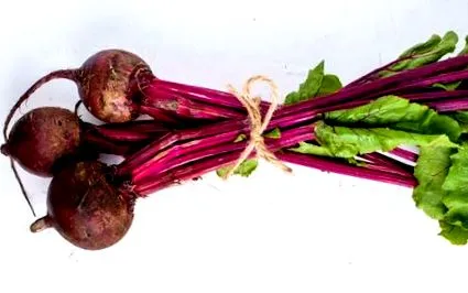 proteine vegani
