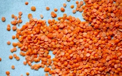 legume bogate