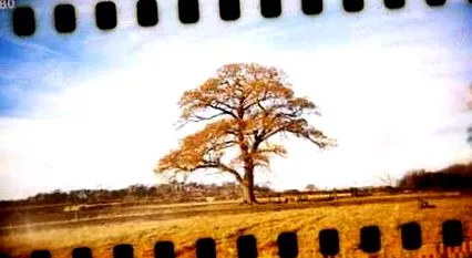 fotografia