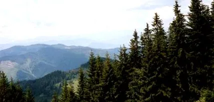 европа европа