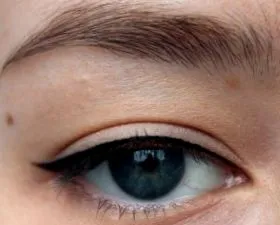 eyeliner pleoape