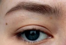 pleoape eyeliner