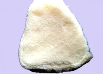 gyártó