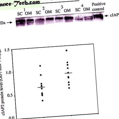 inhibitorului