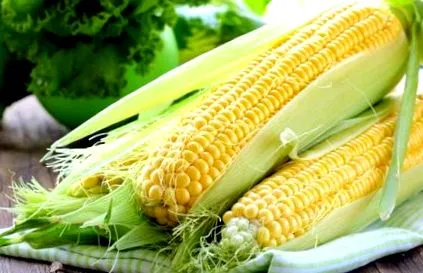 tavaszi tippek