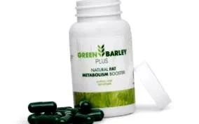 Green Barley