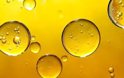 oleic company