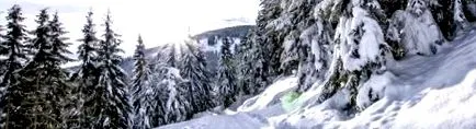 чому