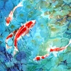 shui-ról