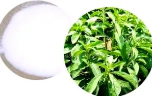 stevia
