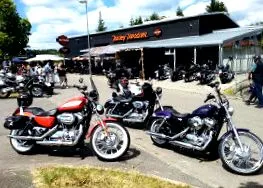 sportster