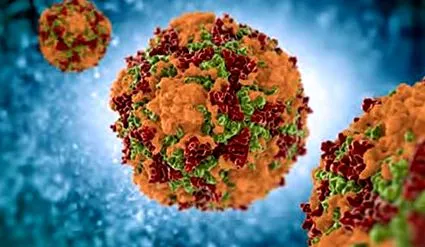 infectopharm