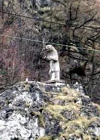 stimulánsokat