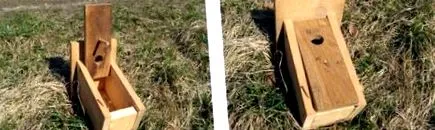 ливадата овоштарникот