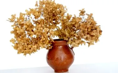 како