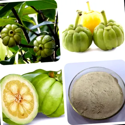 garcinia