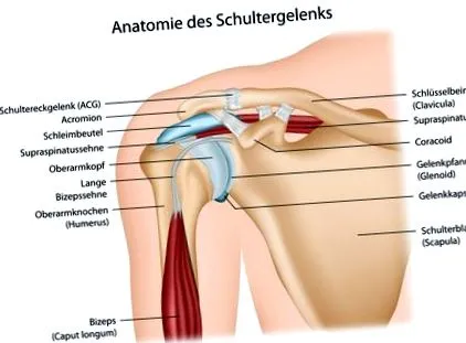 impingement szindróma