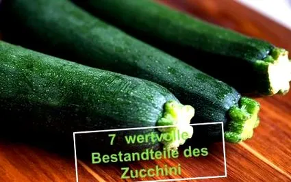 arhivă