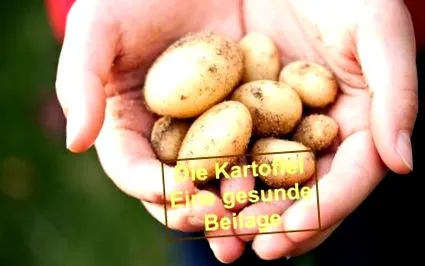 nutriție