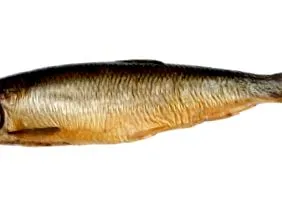 afumat afumat