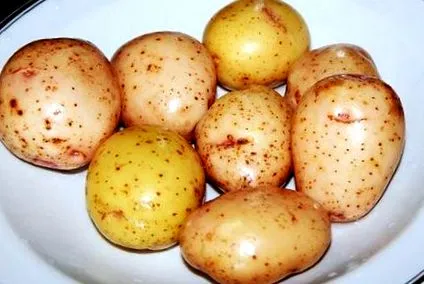 чудова