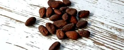 cacao cacao