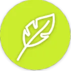 healthy hillvital