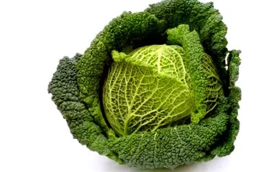 varză