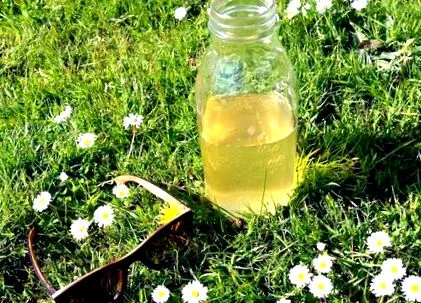 kombucha