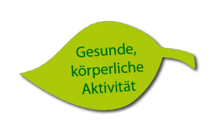 lehető legjobb
