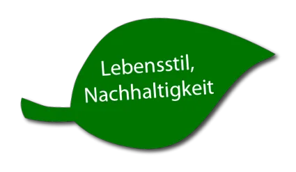 lehető legjobb