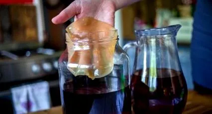 kombucha