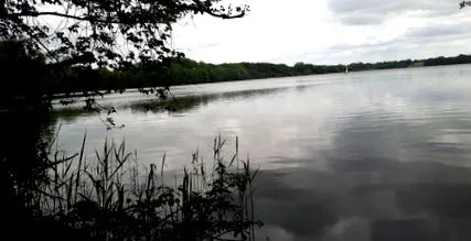 letöltések