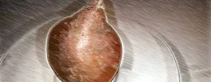 trăiesc