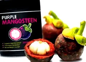 mangostanului