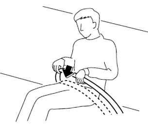 centuri centuri