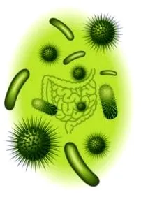 мережа