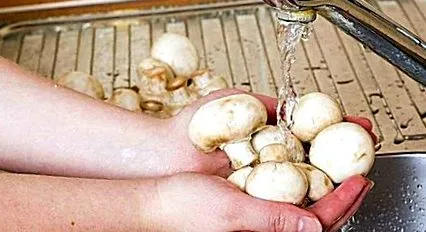 gombával töltsön