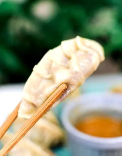 gyozas