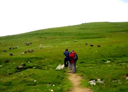 tibet