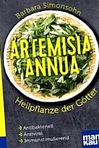 oleifera
