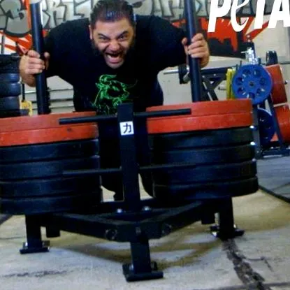 pierdeți