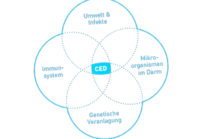 crohn-kór