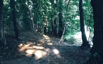 sportoláshoz