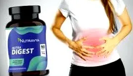 digest
