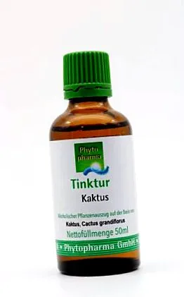 кактус