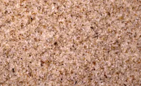 indiai psyllium