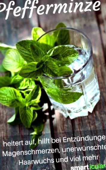 menta